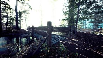 viejo puente de madera místico en la niebla video