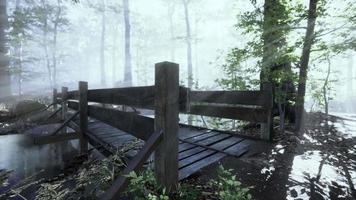 mystische alte holzbrücke im nebel video