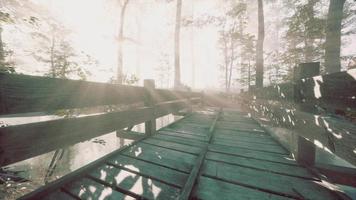 puente de madera suspendido que cruza el río hacia un bosque misterioso y brumoso