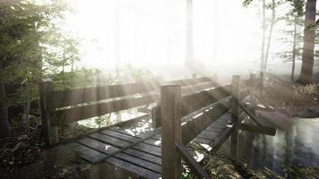 hangende houten brug over de rivier naar mistig mysterieus bos video