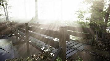 vieux pont en bois mystique dans le brouillard video