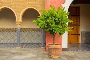 Oriental style park with plants and part of turkish architecture photo