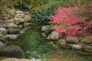 japanese garden in autumn time photo