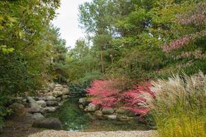 jardín japonés en otoño foto