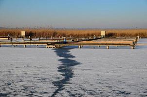 grieta en el lago congelado con juncos
