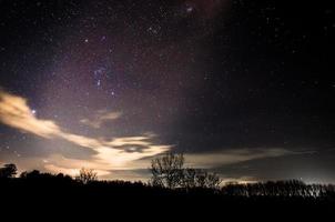 cielo estrellado y arboles foto