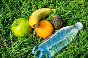 Bottle of fresh water and fruits on the green grass photo