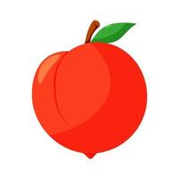 Fresh cartoon bright peach vector