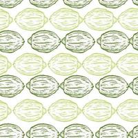limones grabados de patrones sin fisuras. fondo vintage cítricos en estilo dibujado a mano. boceto entero de limón o lima. vector