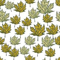 Leaves maple canadian engraved seamless pattern. Vintage background botanical with foliage in hand drawn style. vector