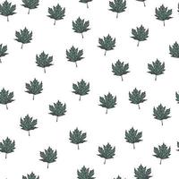 Leaves maple canadian engraved seamless pattern. Vintage background botanical with foliage in hand drawn style. vector
