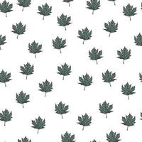 Leaves maple canadian engraved seamless pattern. Vintage background botanical with foliage in hand drawn style. vector