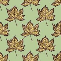 Leaves maple engraved seamless pattern. Vintage background botanical with canadian foliage in hand drawn style. vector