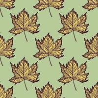 Leaves maple engraved seamless pattern. Vintage background botanical with canadian foliage in hand drawn style. vector