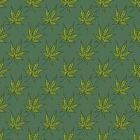 hojas de cannabis grabadas de patrones sin fisuras. fondo retro botánico con hoja de marihuana en estilo dibujado a mano. vector