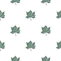 Leaves maple engraved seamless pattern. Vintage background botanical with canadian foliage in hand drawn style. vector