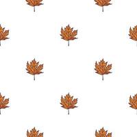 Leaves maple canadian engraved seamless pattern. Vintage background botanical with foliage in hand drawn style. vector