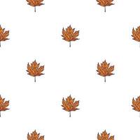 Leaves maple canadian engraved seamless pattern. Vintage background botanical with foliage in hand drawn style. vector