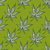 Leaves cannabis engraved seamless pattern. Retro background botanical with leaf marijuana in hand drawn style. vector