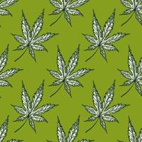 hojas de cannabis grabadas de patrones sin fisuras. fondo retro botánico con hoja de marihuana en estilo dibujado a mano. vector