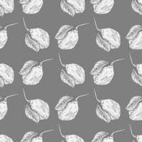 Seamless pattern engraved lemon on branch with leaves. Vintage background lime growing on twig in hand drawn style. vector