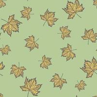 hojas de arce grabado de patrones sin fisuras. fondo vintage botánico con follaje canadiense en estilo dibujado a mano. vector