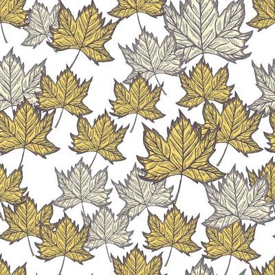 Leaves maple engraved seamless pattern. Vintage background botanical with canadian foliage in hand drawn style.