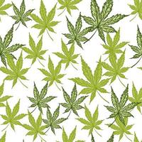 hojas de cannabis grabadas de patrones sin fisuras. fondo retro botánico con hoja de marihuana en estilo dibujado a mano. vector