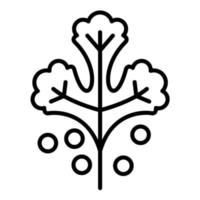 icono de línea de cilantro vector