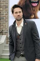 LOS ANGELES, JUN 2 - Brett Dalton at the The Secret Life of Pets 2 Premiere at the Village Theater on June 2, 2019 in Westwood, CA photo