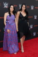 LOS ANGELES, JUN 6 - Brie Bella, Nikki Bella at the WWE For Your Consideration Event at the TV Academy Saban Media Center on June 6, 2018 in North Hollywood, CA photo