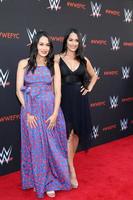 LOS ANGELES, JUN 6 - Brie Bella, Nikki Bella at the WWE For Your Consideration Event at the TV Academy Saban Media Center on June 6, 2018 in North Hollywood, CA photo