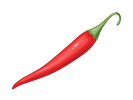 Red hot Chili pepper. Mexican traditional food. vector