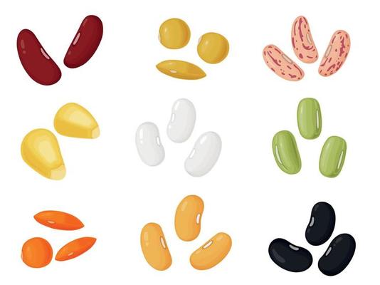 Kidney beans. Beans in cartoon style. Healthy vegetarian food illustration.