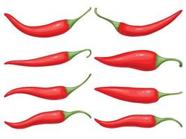 Red hot Chili pepper set. Mexican traditional food. vector