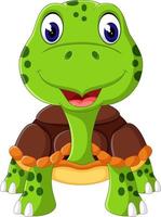 Cartoon funny turtle isolated on white background vector