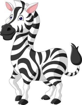 Cute zebra cartoon