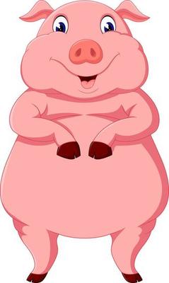 Cute pig cartoon posing