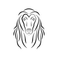 Afghan hound. Logotype of beautiful hound dog. Silhouette of dog. Graphic design. Vector illustration