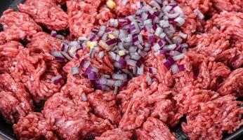 carne picada fresca cruda con especias y hierbas sobre un fondo de hormigón oscuro foto