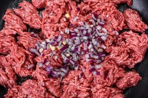 Fresh raw mince with spices and herbs on a dark concrete background photo