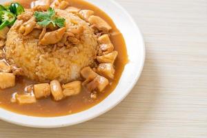 Chicken in brown sauce or gravy sauce with rice photo