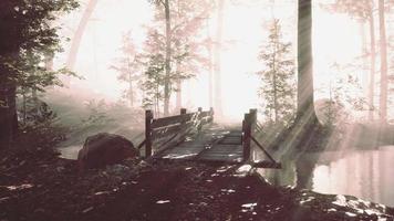 Suspended wooden bridge crossing the river to foggy mysterious forest video