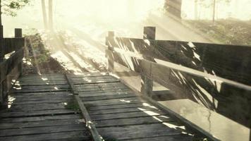 mística ponte de madeira velha no nevoeiro video