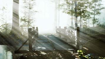 vieux pont en bois mystique dans le brouillard