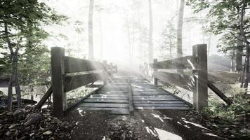 pont en bois dans la forêt dans le brouillard video