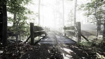 puente de madera suspendido que cruza el río hacia un bosque misterioso y brumoso