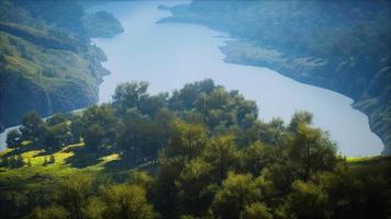 Aerial forest scenery European Fores video