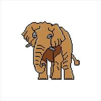 Vector illustration  Elephant with Pixel art design.
