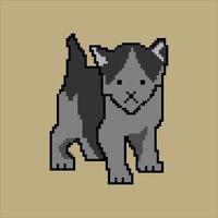 Cat with pixel art. friendly domestic pet. Vector illustration.